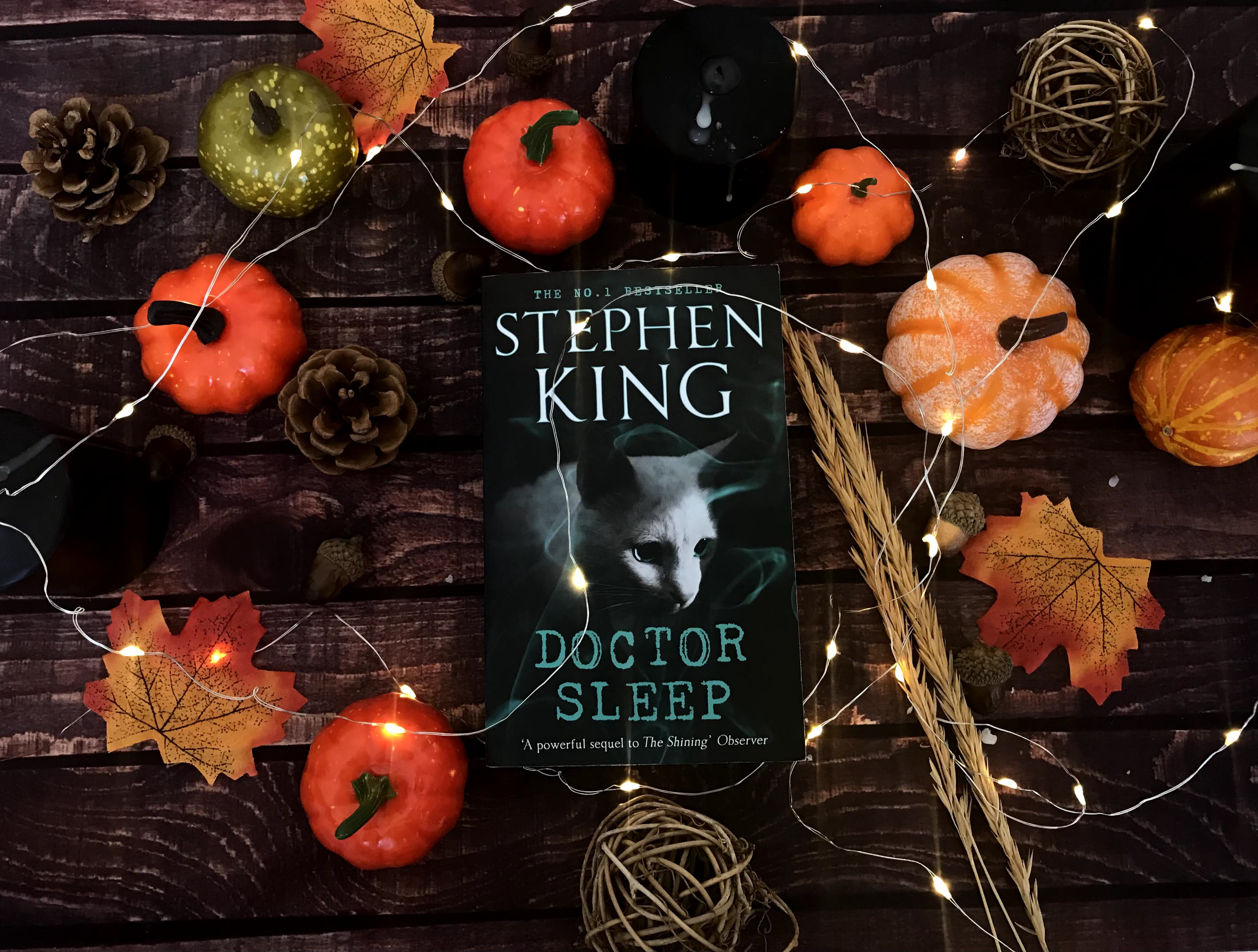 Book cover of Stephen King's 'Doctor Sleep' placed on a dark wooden surface surrounded by orange and green artificial pumpkins, pinecones, dried beans, berry, autumn leaves, and a string of warm fairy lights.