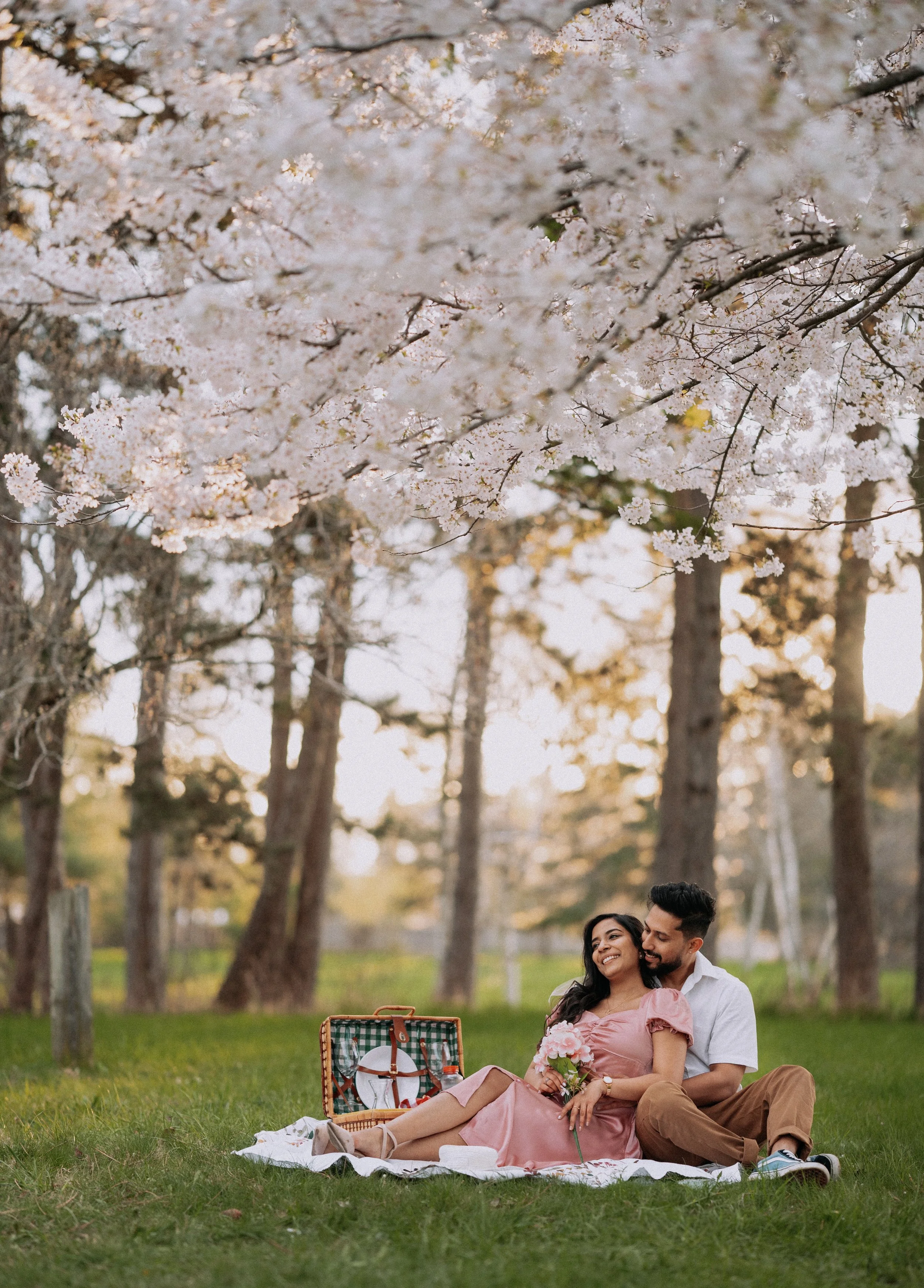 Spring engagement session in Niagara with cherry blossoms, couple posing on picnic blanket, golden hour outdoor couple photography in Ontario