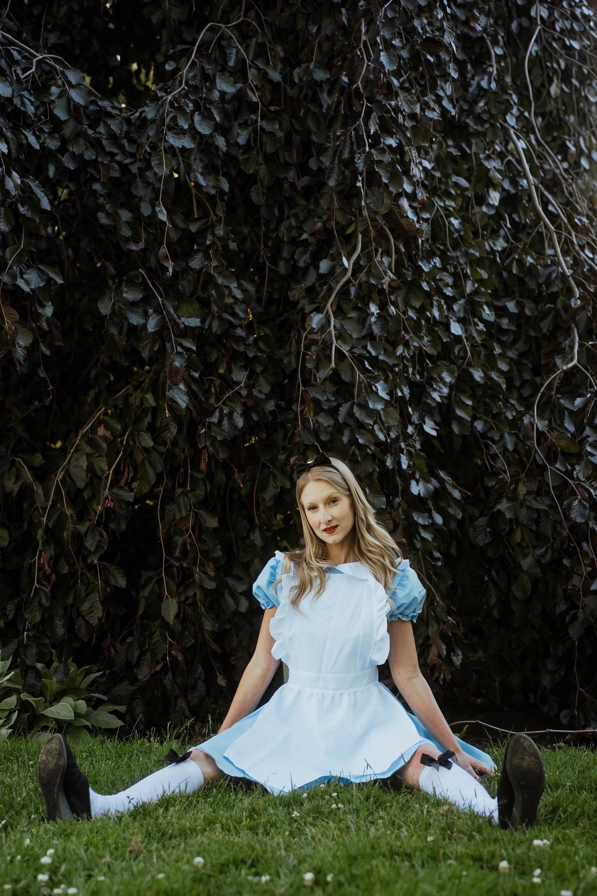 Alice in Wonderland-inspired portrait of a woman in a blue Alice dress sitting beneath a dramatic tree at Niagara Falls Botanical Garden. Fine art fantasy portrait photographed with a Sony Alpha 7V by Lara Grace Creative Studio.