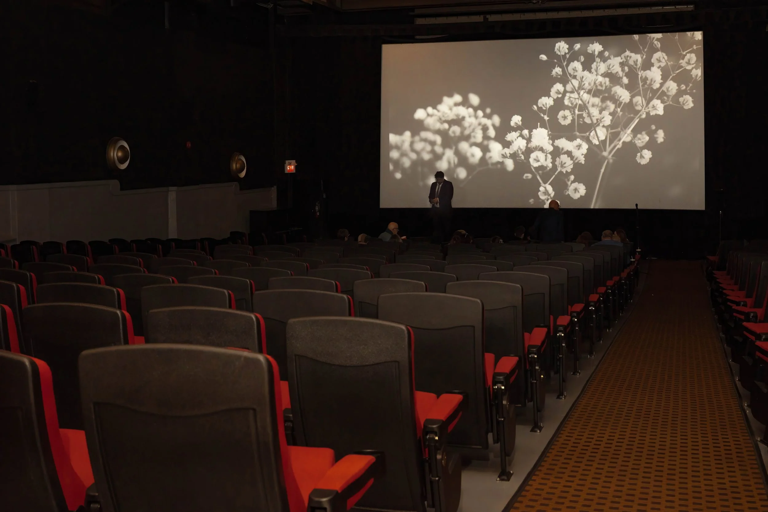 DSC09029-topaz-denoise (1).jpeg