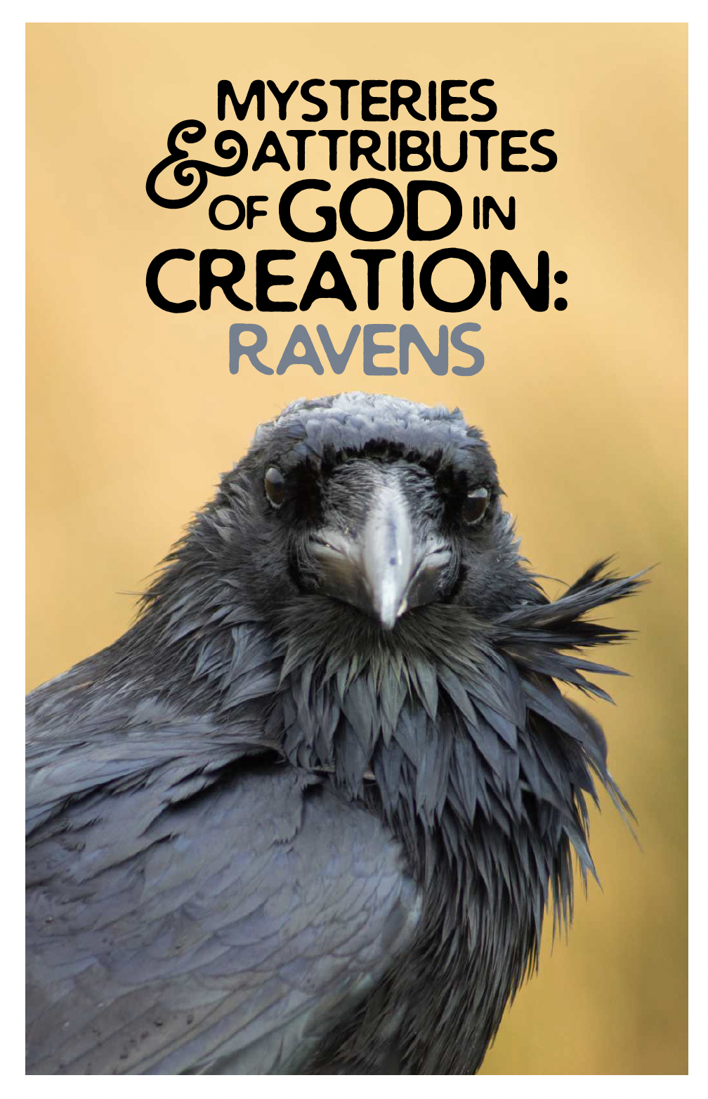 Ravens pamphlet