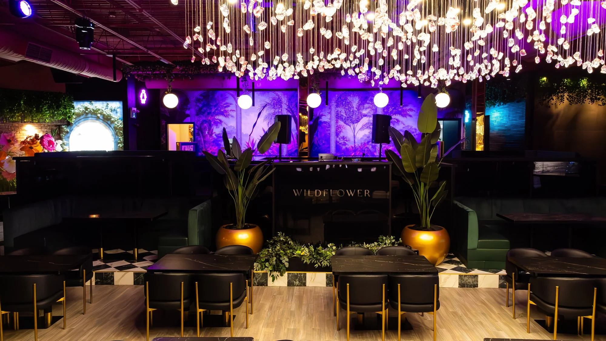 Interior of a nightclub or lounge with a decorated ceiling, purple lighting, green plants in gold planters, and black tables with gold accents.