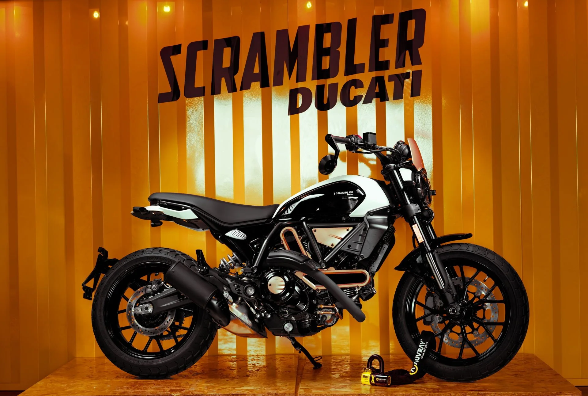 Nouvelle collection PHOTO AUVRAY 2026