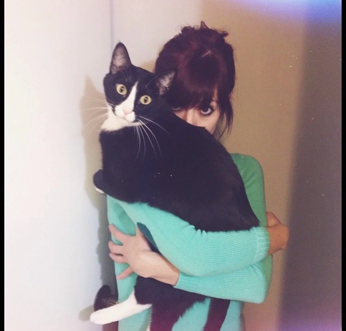 I've loved a lot of animals. 

I've never loved an animal like I loved Bruce Wayne. 

He came to us through a rescue in 2011. We wanted a second cat, and the owner of the rescue immediately suggested this 2 year old gangly tuxedo boy with the biggest