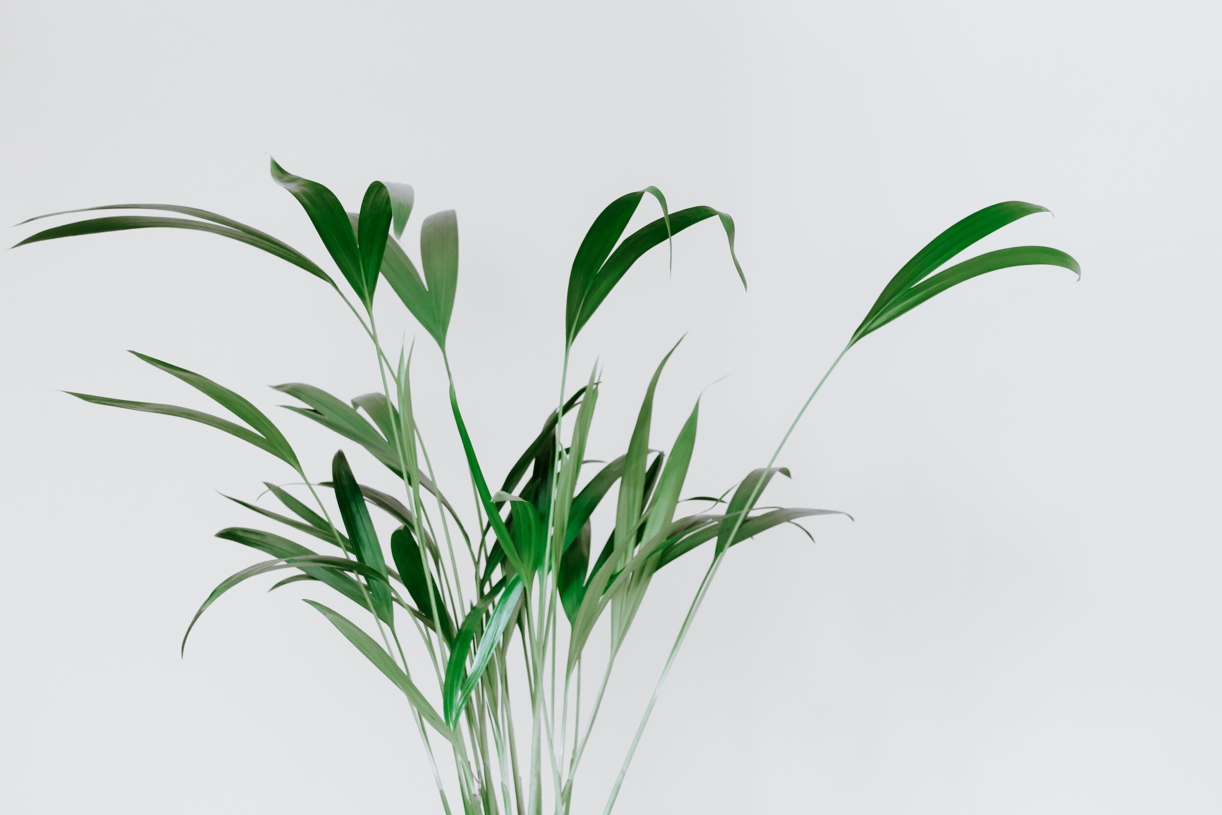 Exploring Hope and Healing: The Power of Ketamine Infusion Therapy