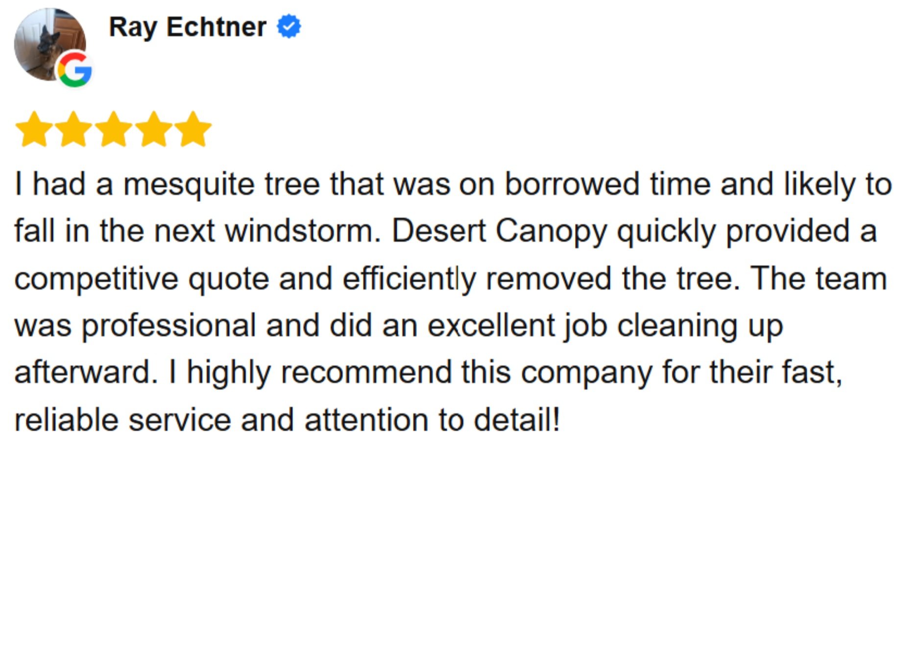 DESERT+CANOPY+TREE+SERVICE+%2859%29.jpg