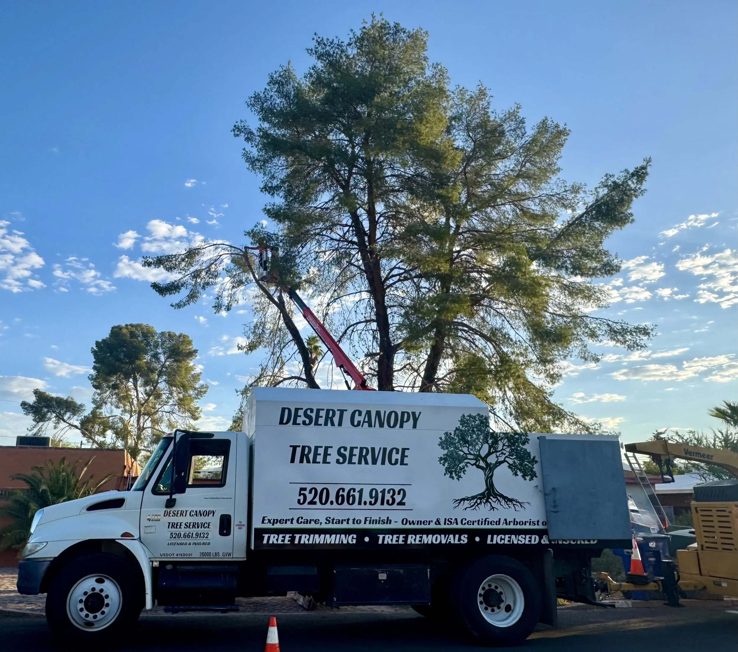 Desert Canopy Tree Service LLC gallery 3