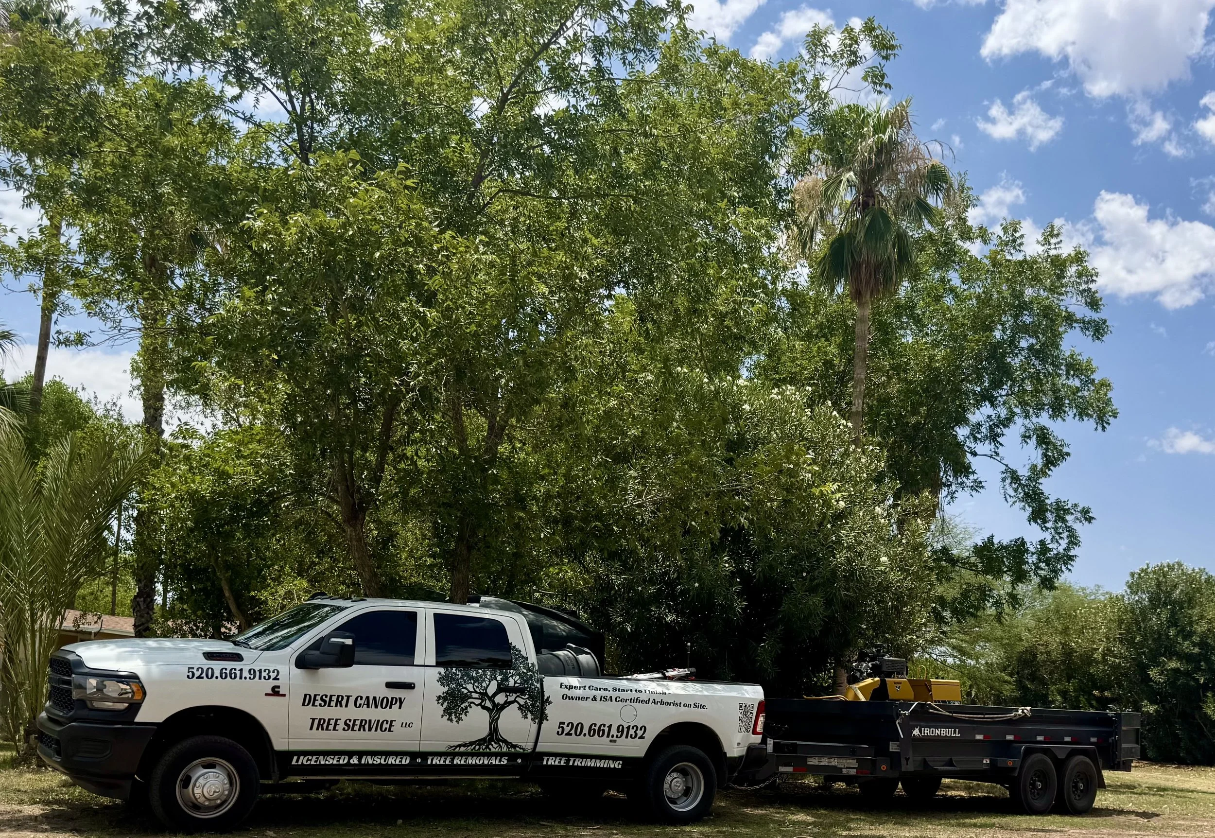 Desert Canopy Tree Service LLC gallery 4