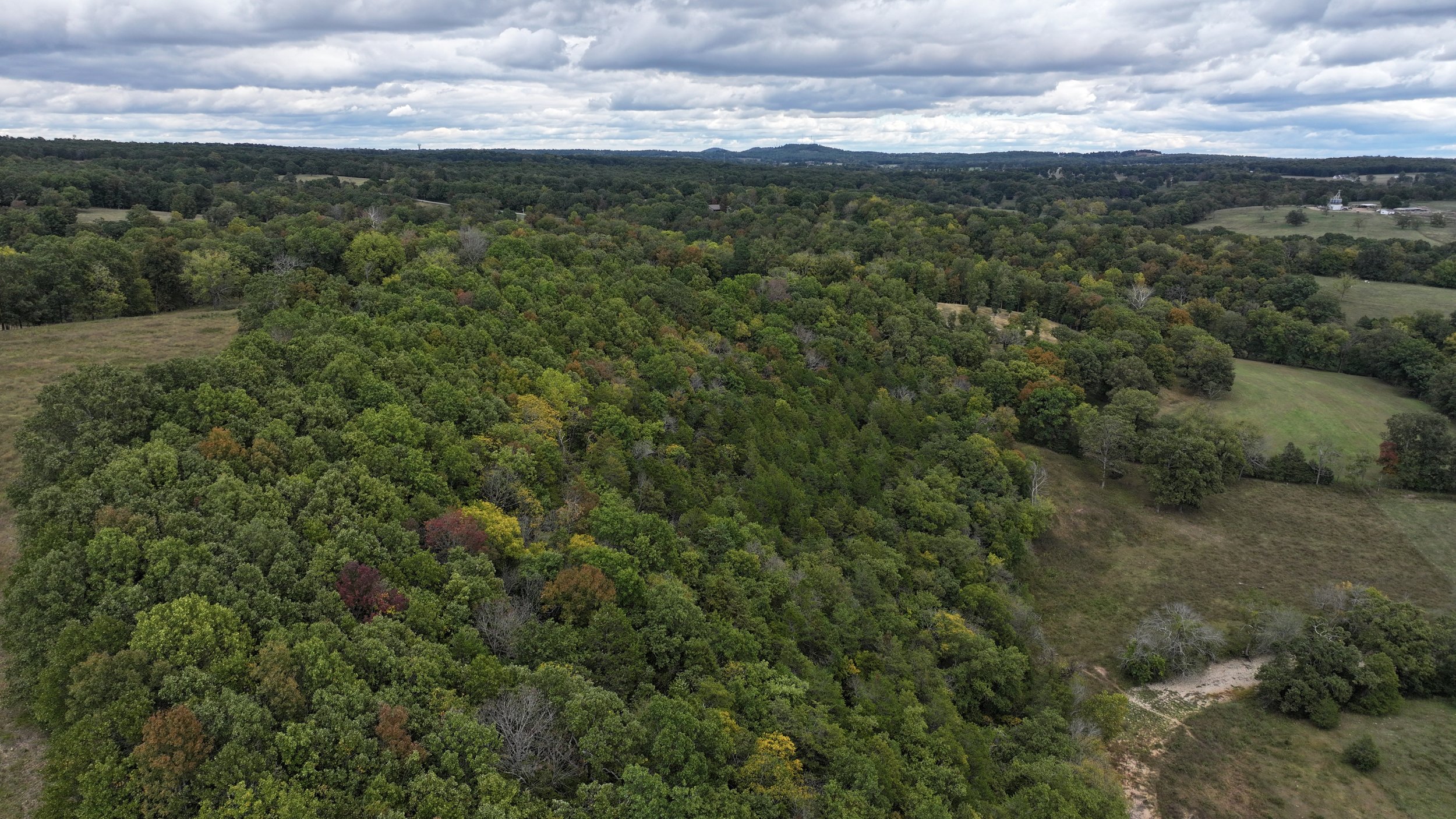 An aerial view capturing a serene field nestled amidst a dense woodland, offering a tranquil oasis within the lush greenery of nature.