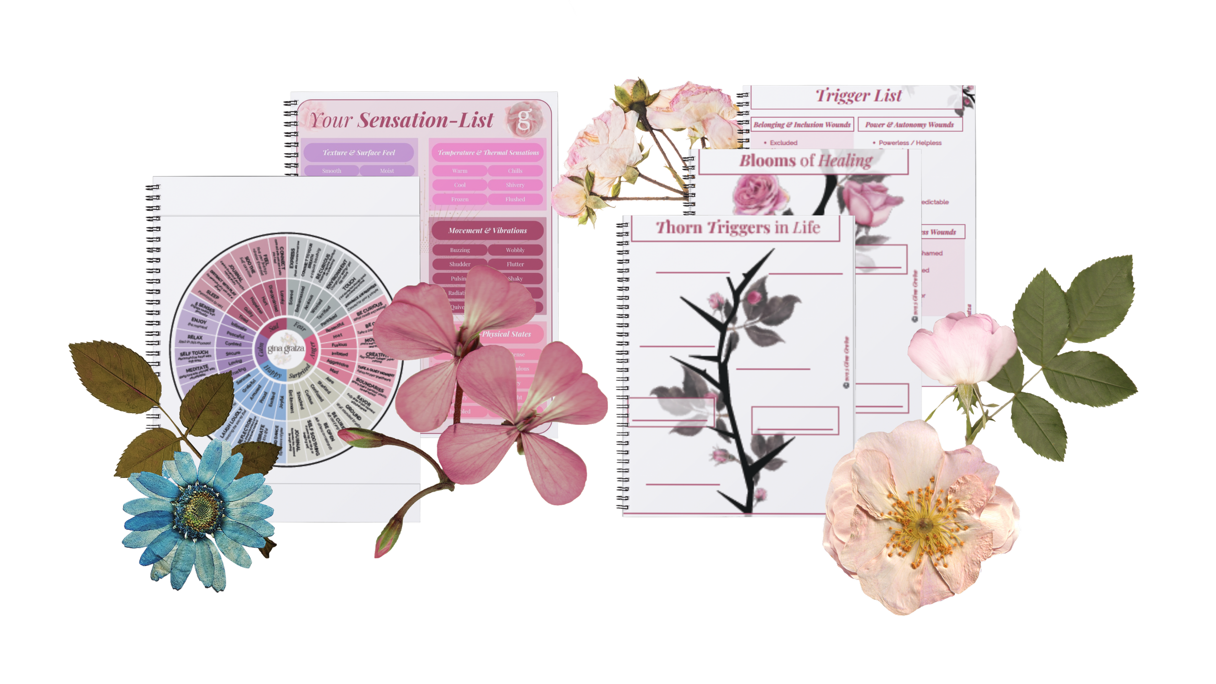 Gina Gratza - Bundle.png