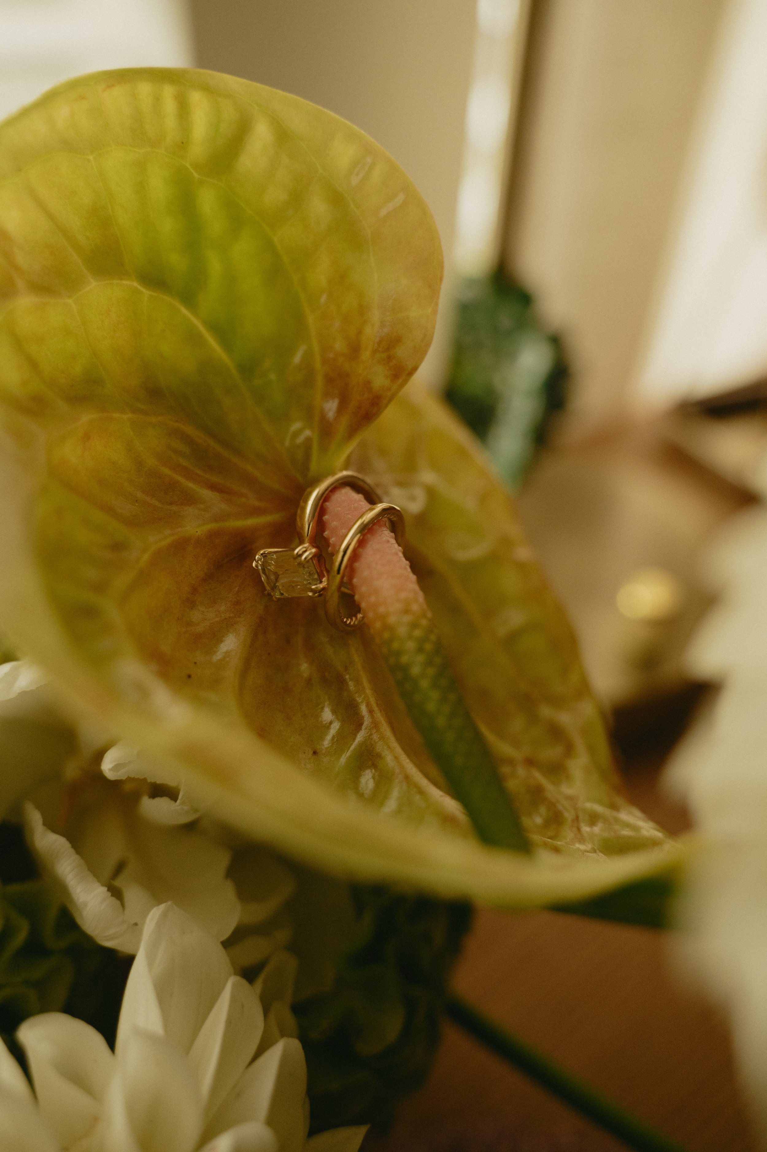 KTP_6545-Copy1.jpg