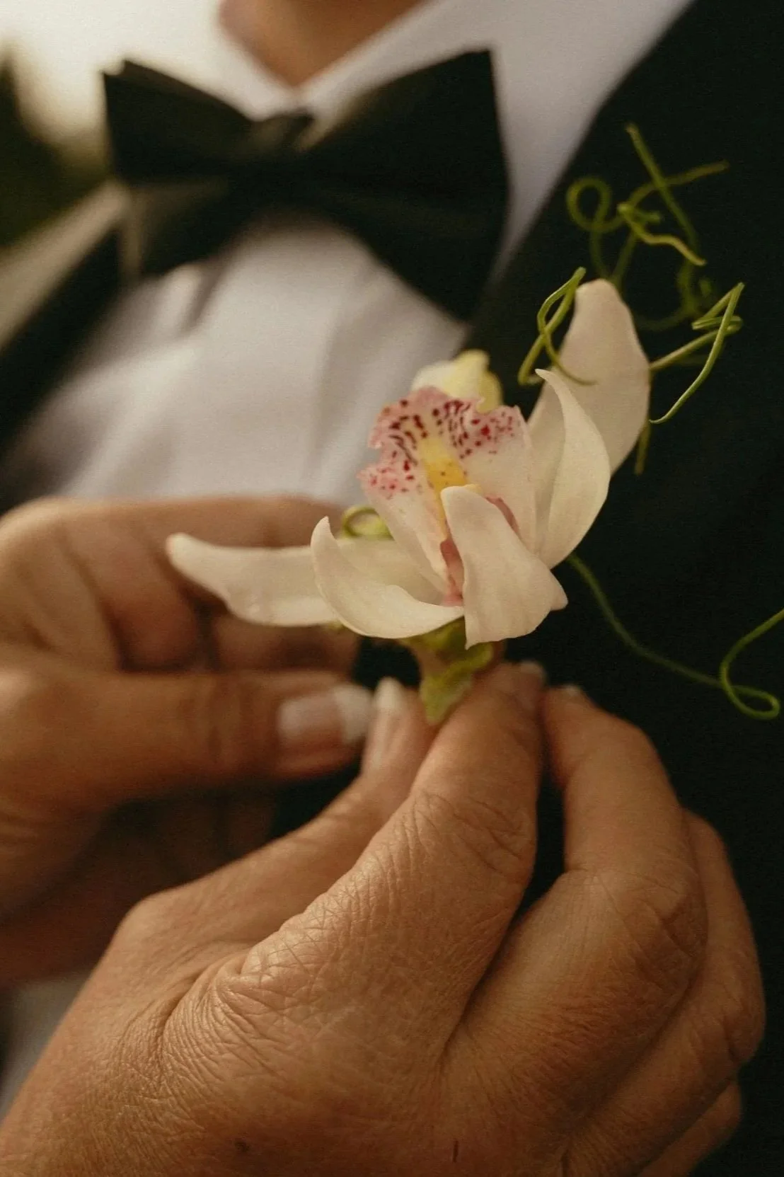 KTP_6927-Copy1.jpg