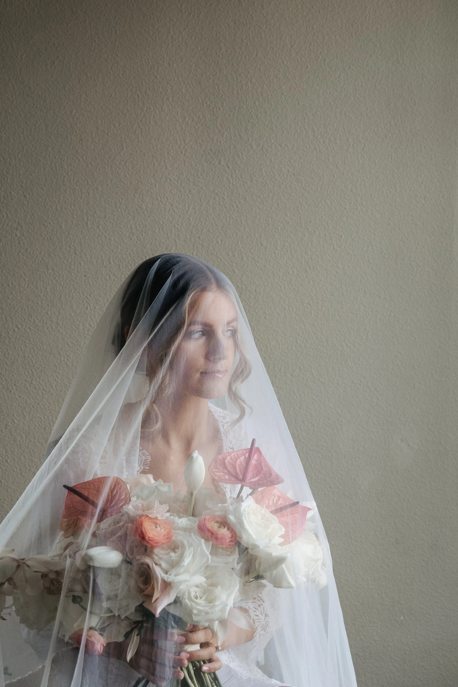 lizimages-previews-70.jpg