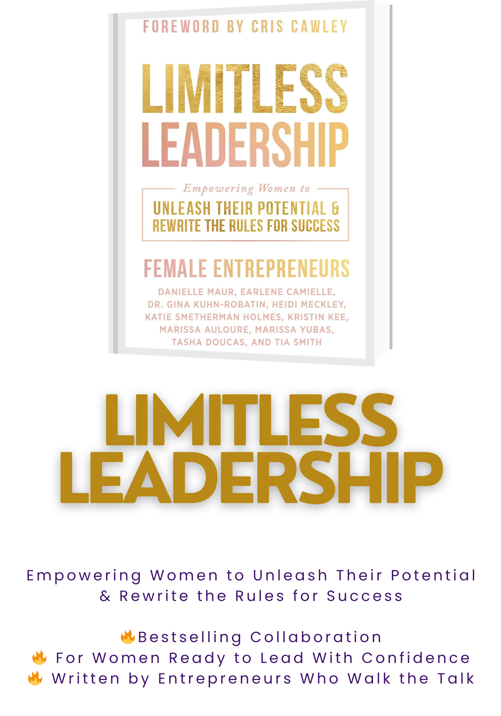 Limitles leadership (Banner Portrait).png