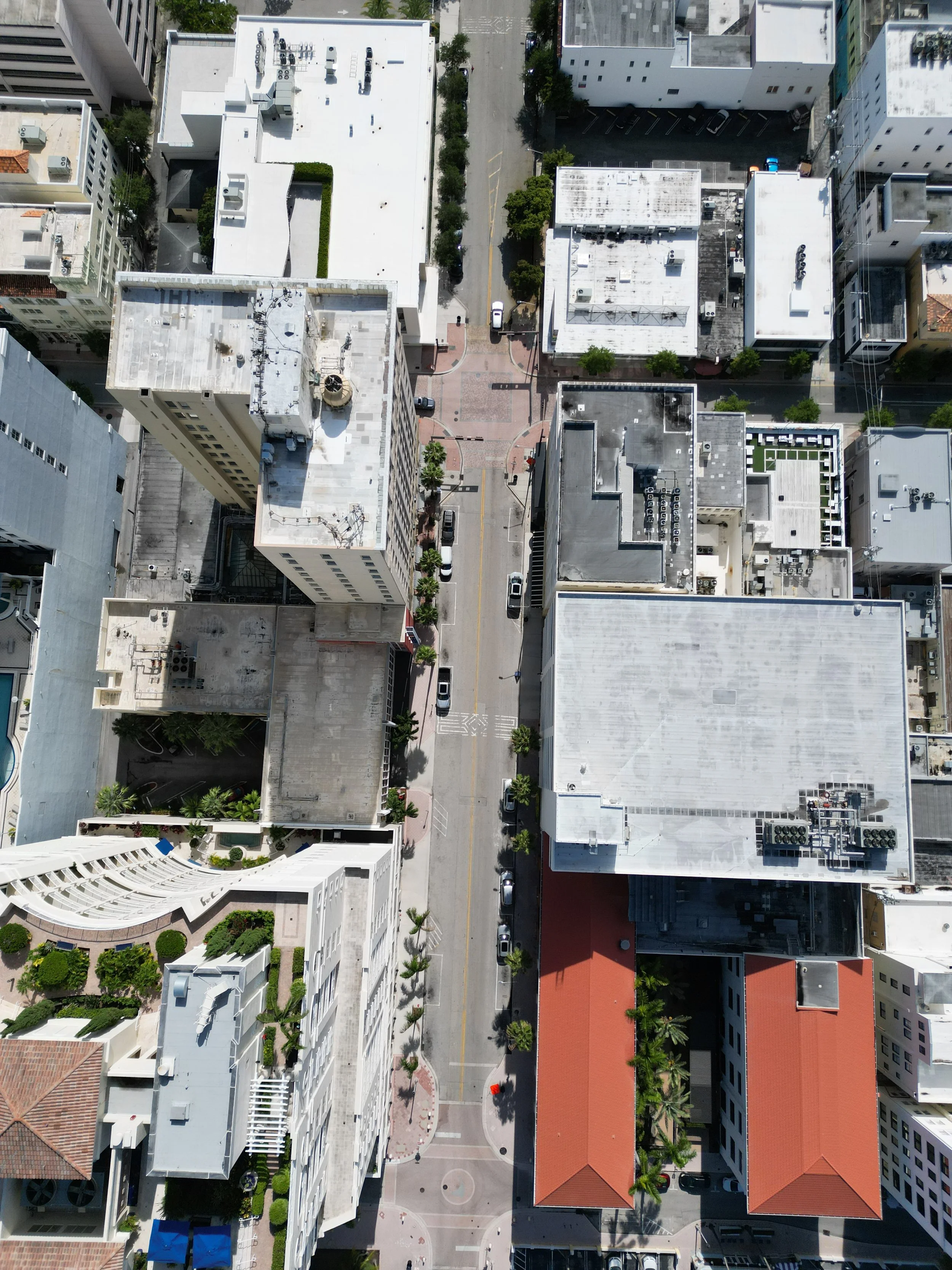 Aerial view of a city street with tall buildings, parked cars, and small trees lining the sidewalks.