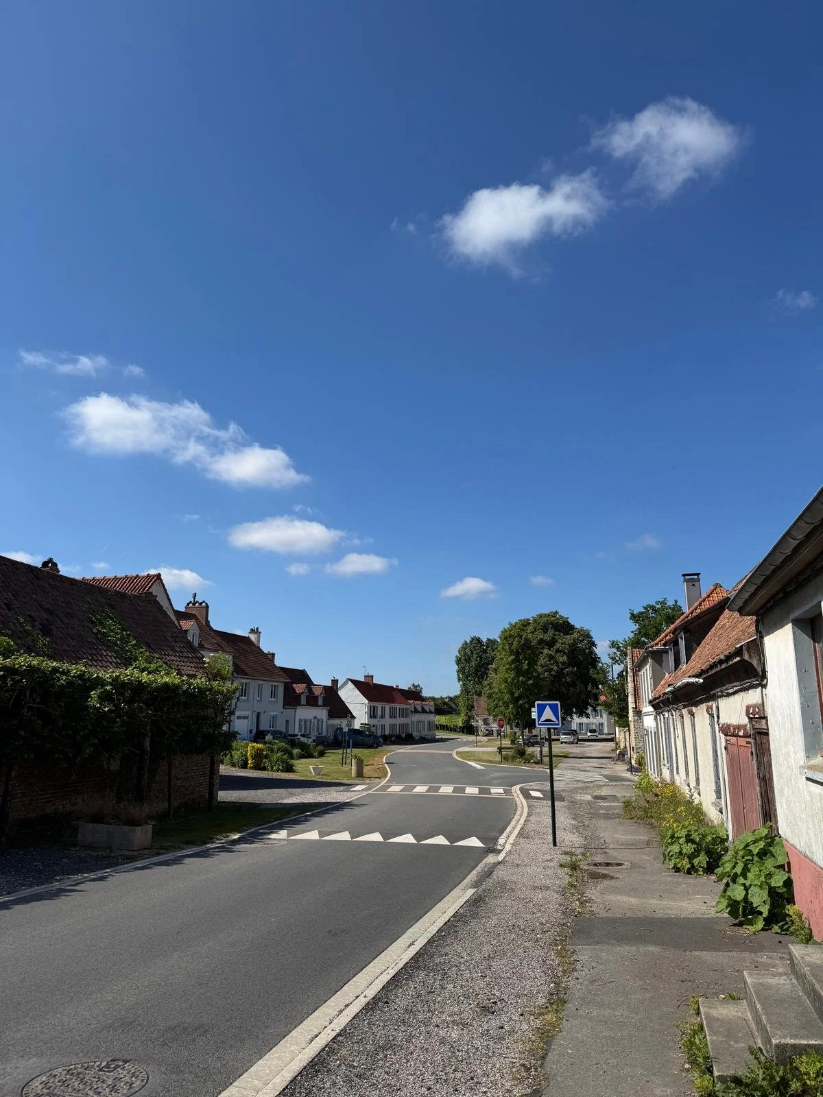 WhatsApp Image 2025-11-01 at 12.14.56 (6).jpeg