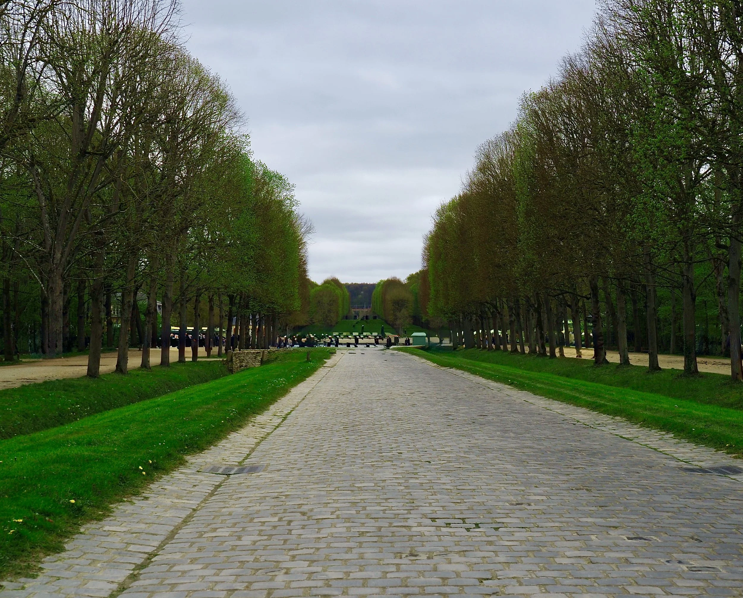 P4032284.JPG