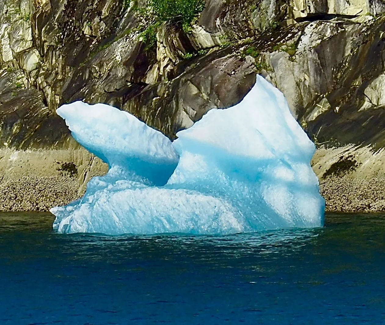 Blue iceberg floating near rocky shoreline with cliffs and greenery.