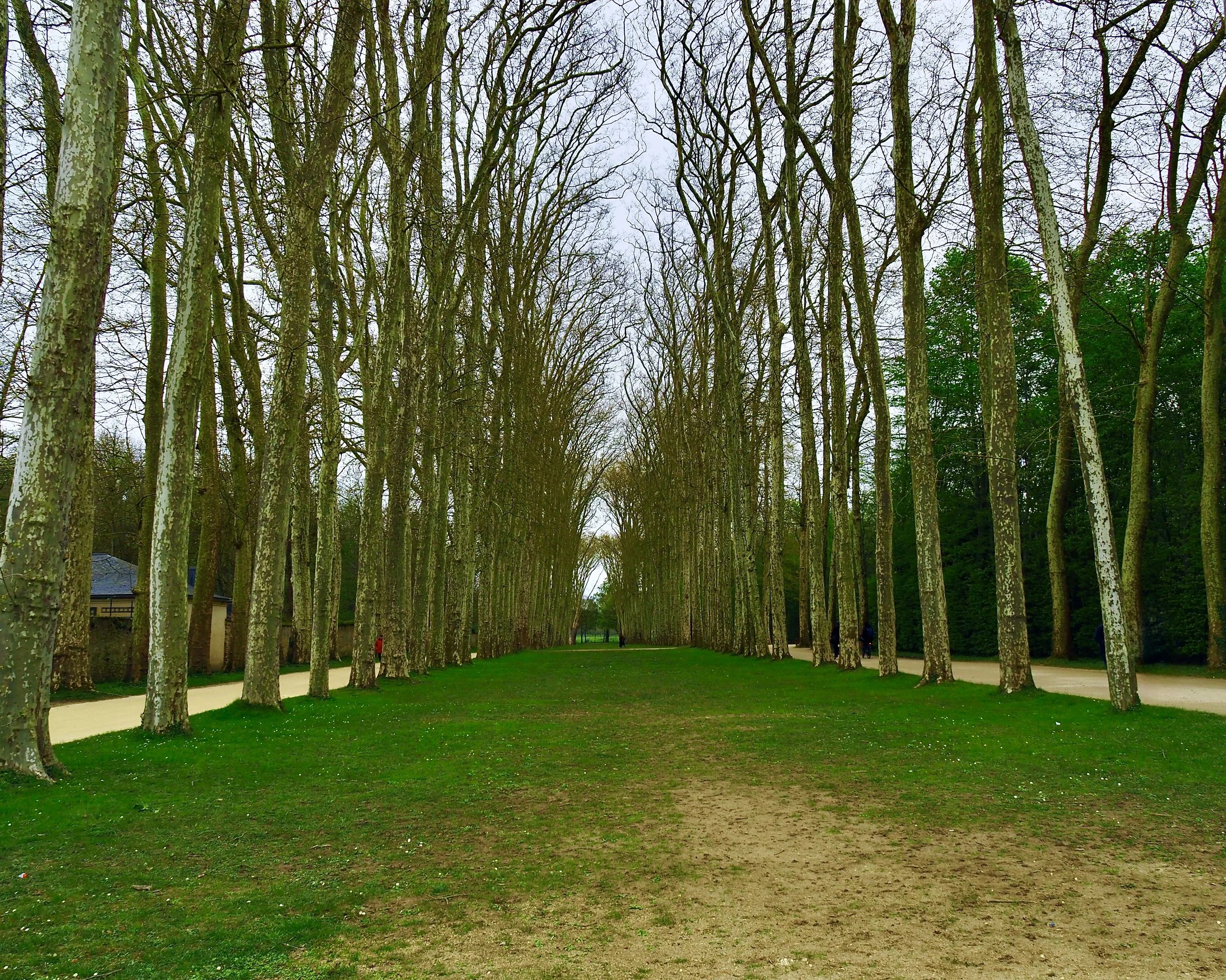 P4032277.JPG