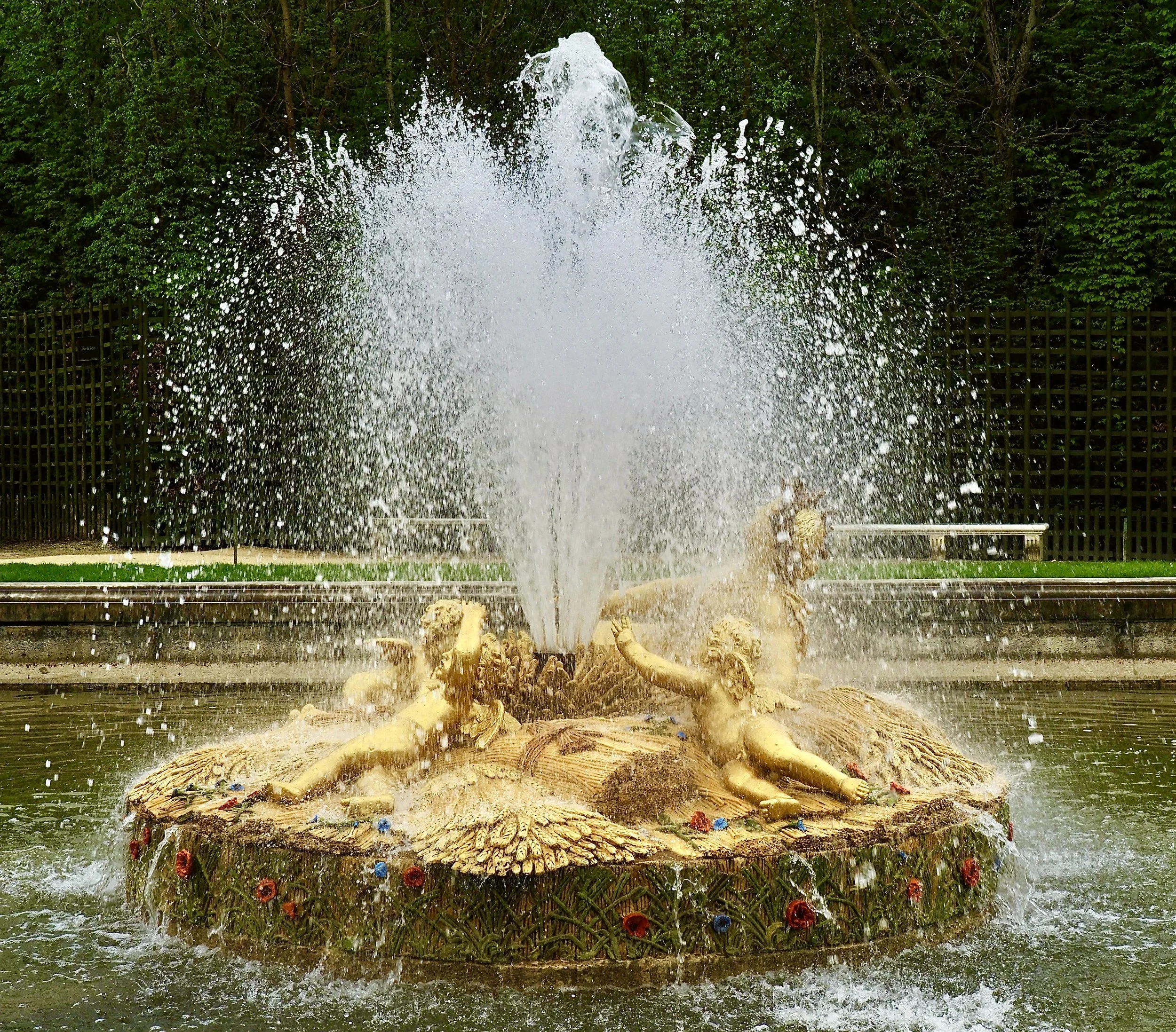 P4032260.JPG