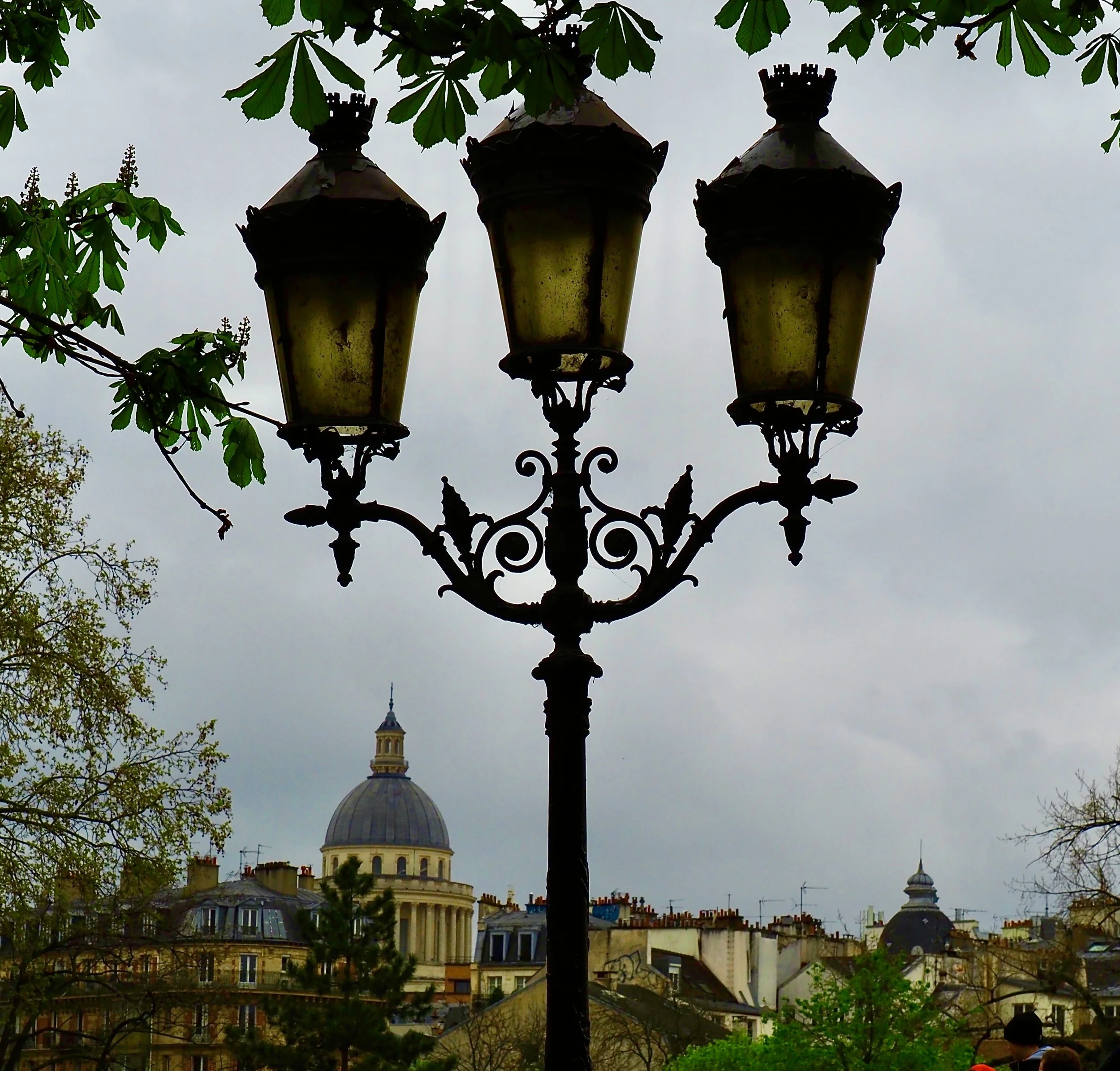P4042469.JPG