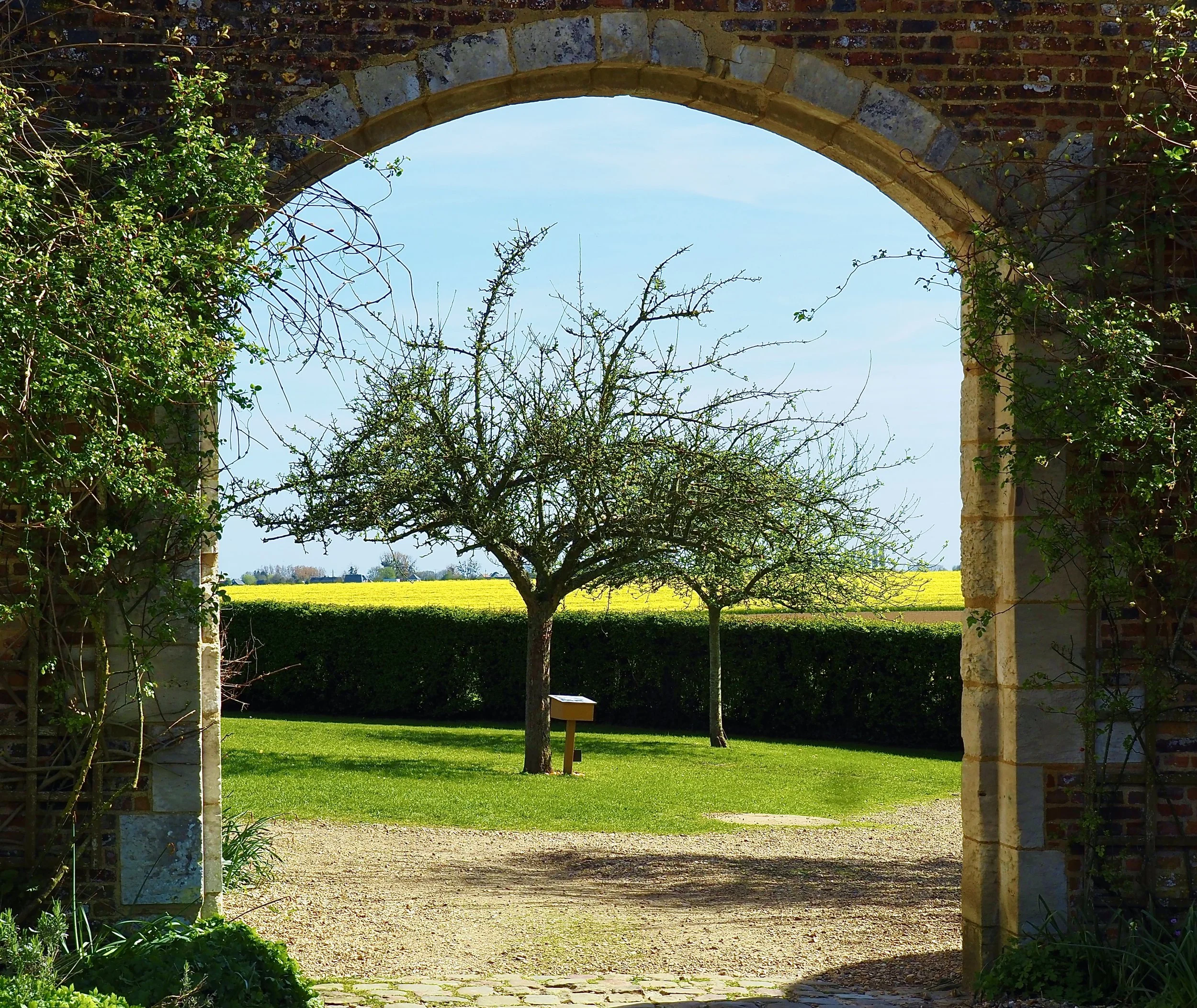P4062868.JPG