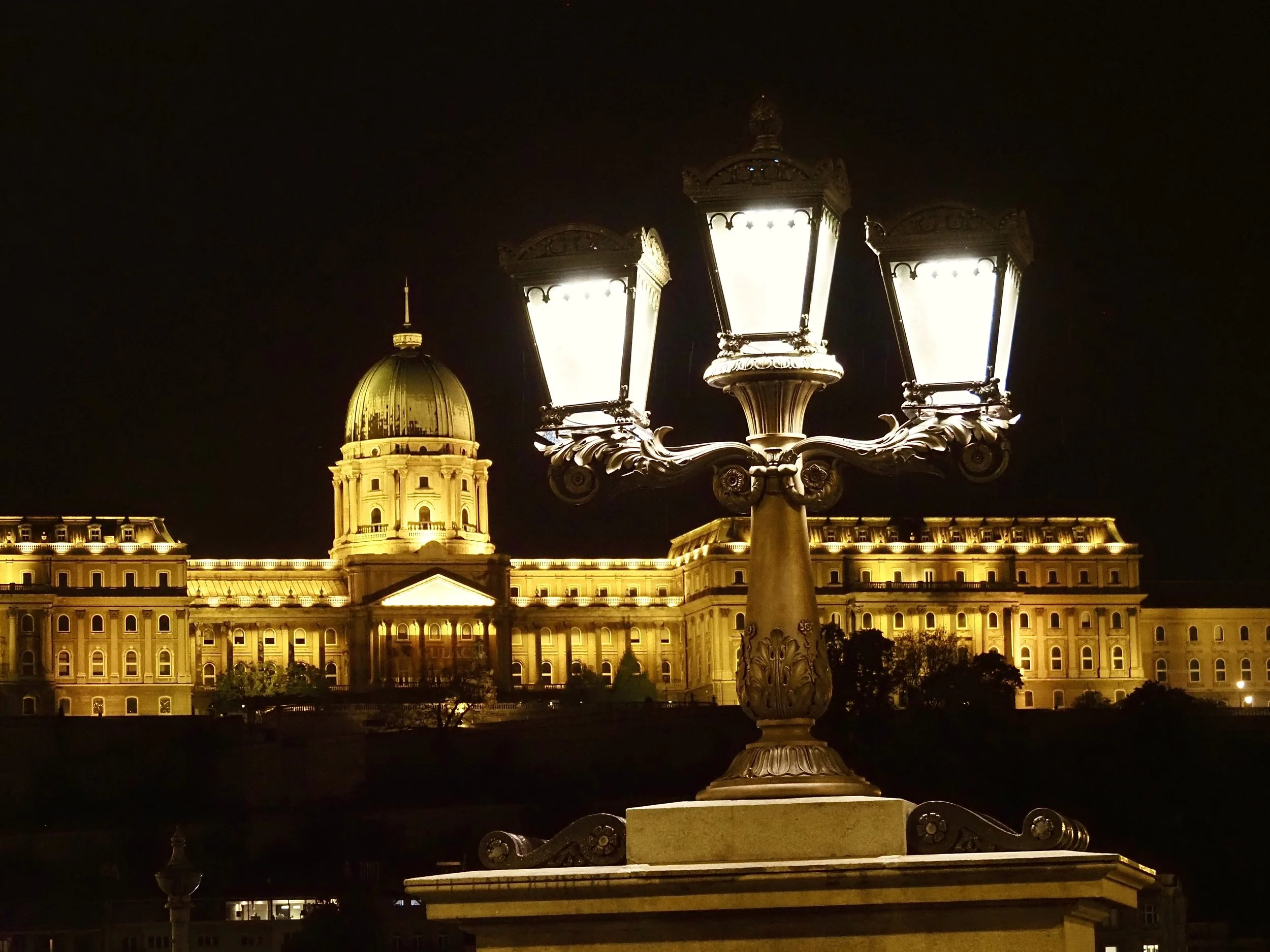 Night view of a large illuminated historic building with a central dome, viewed behind a decorative street lamp, against a dark sky.