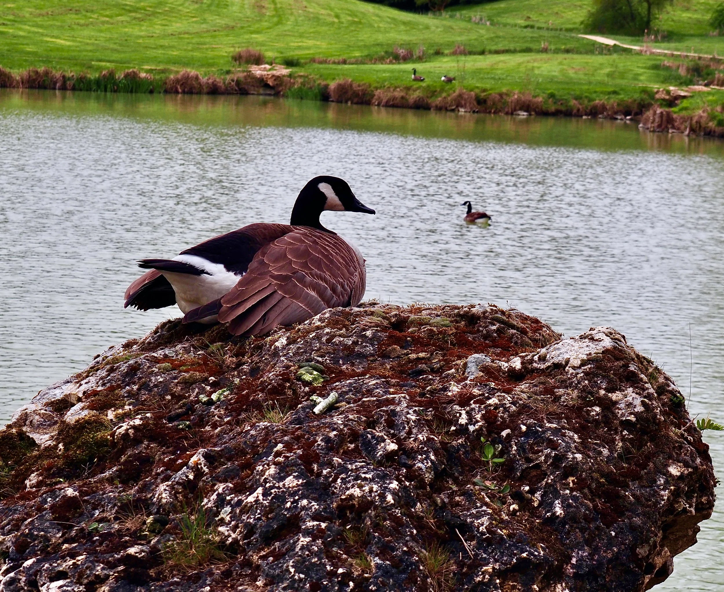 P4032371.JPG