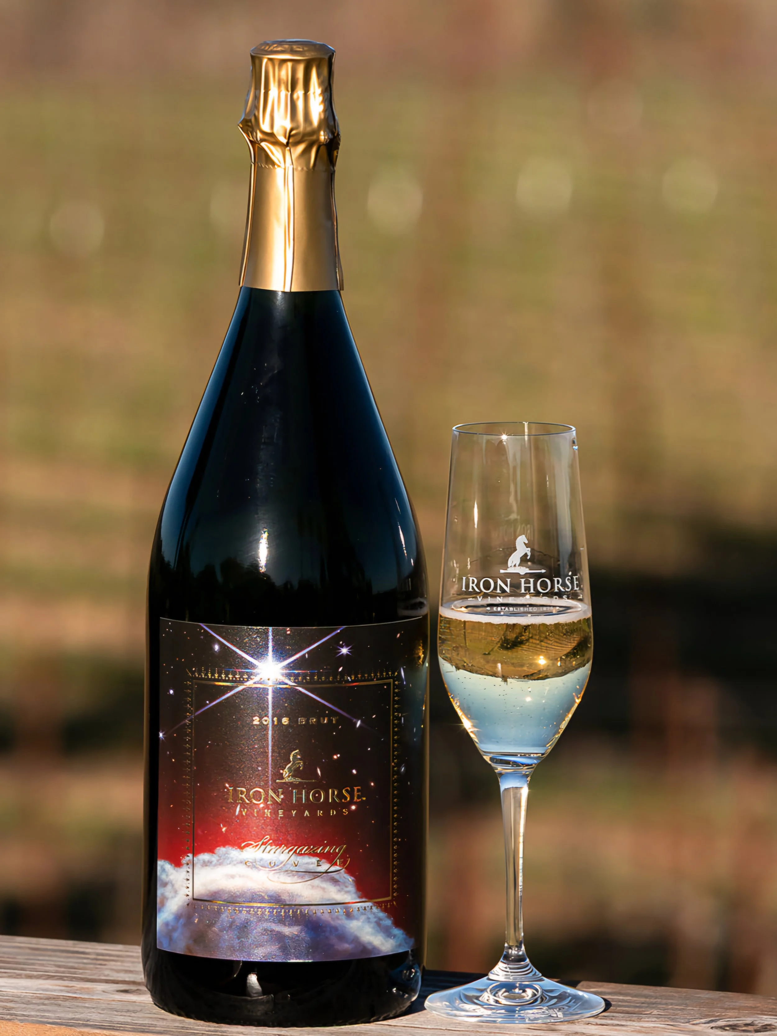 2016 Stargazing.jpg