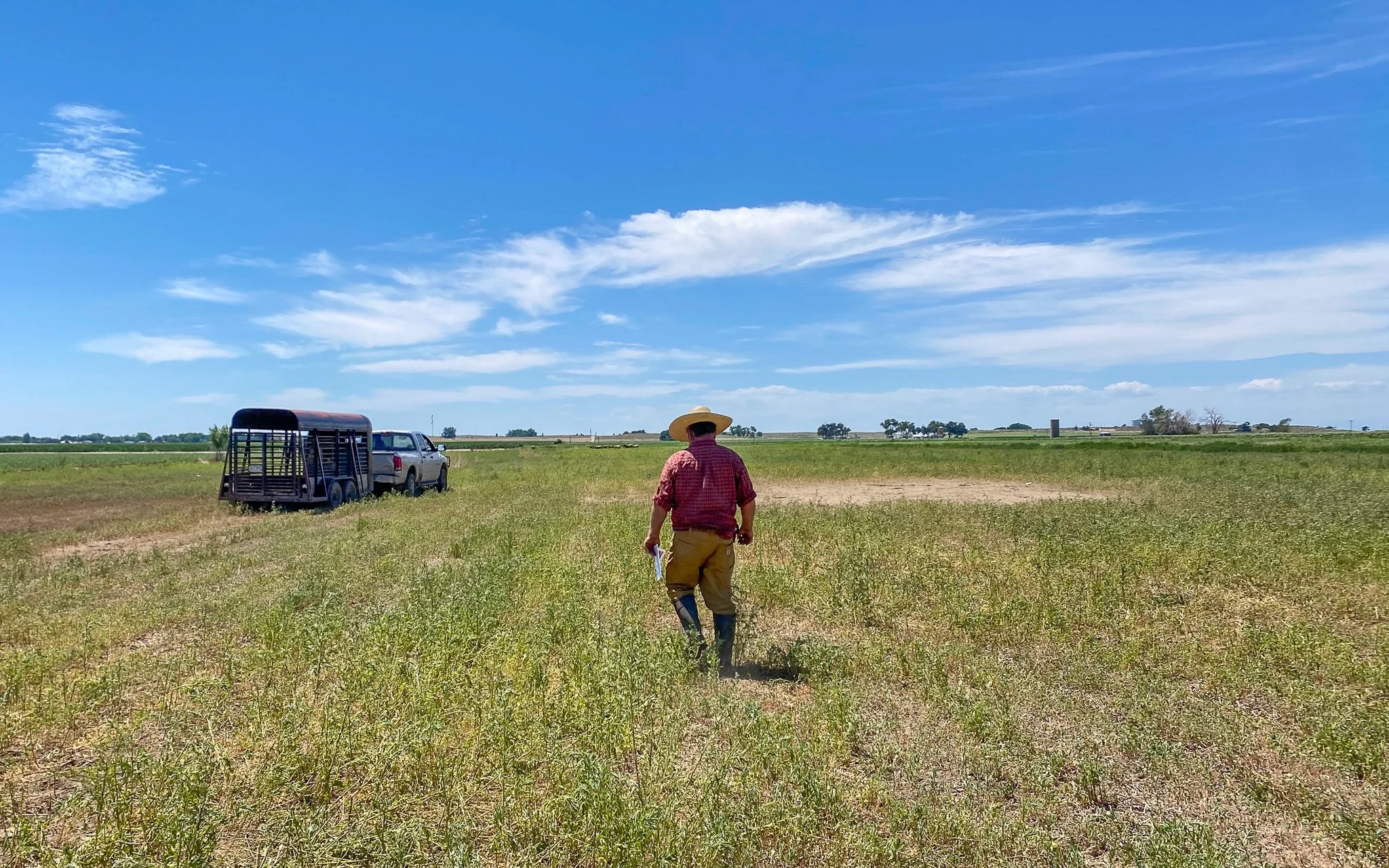 A farmer in a large hat and boots walks through a field