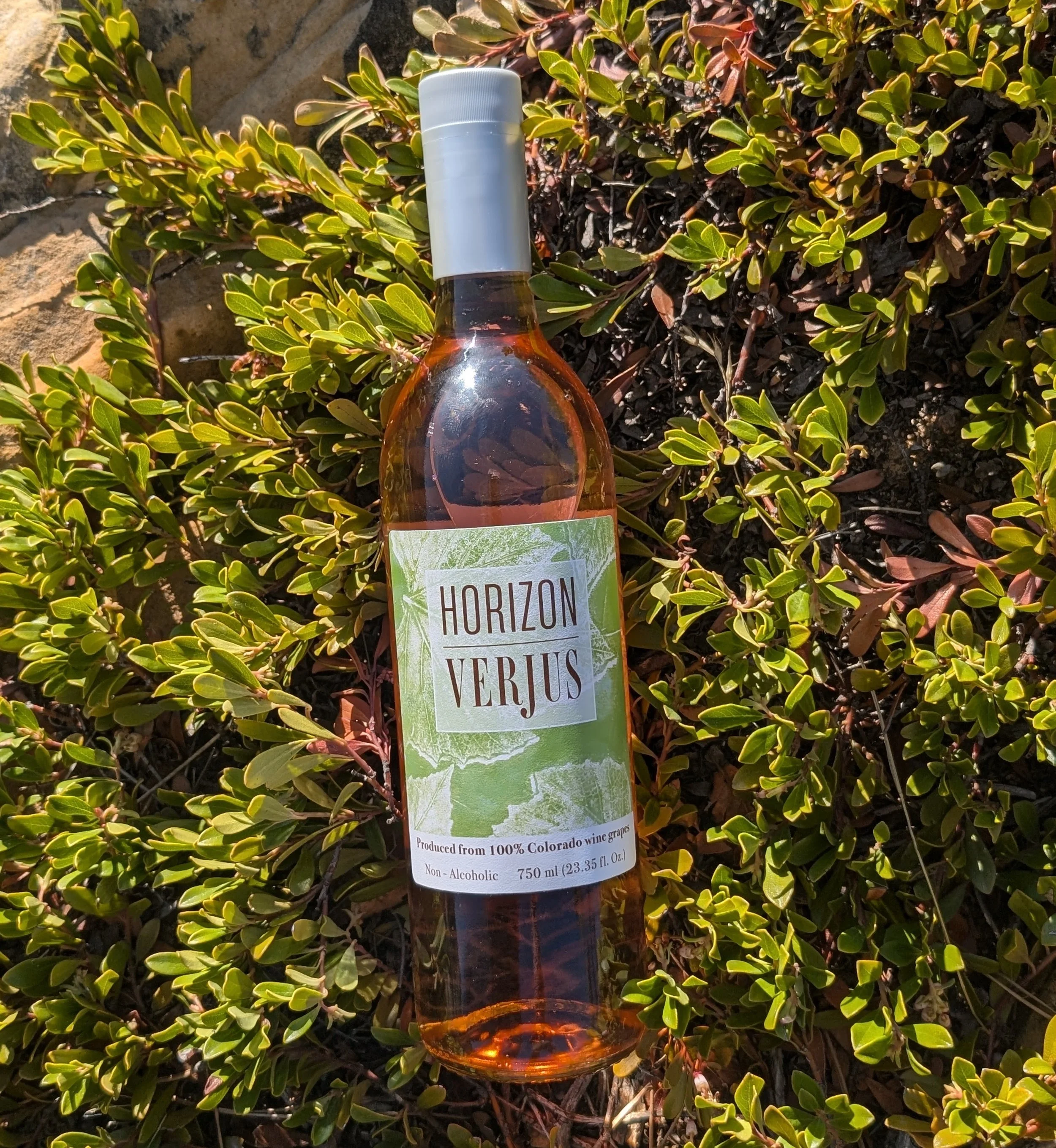 b86106c7-24b7-4c31-8928-6ce3e60d8797