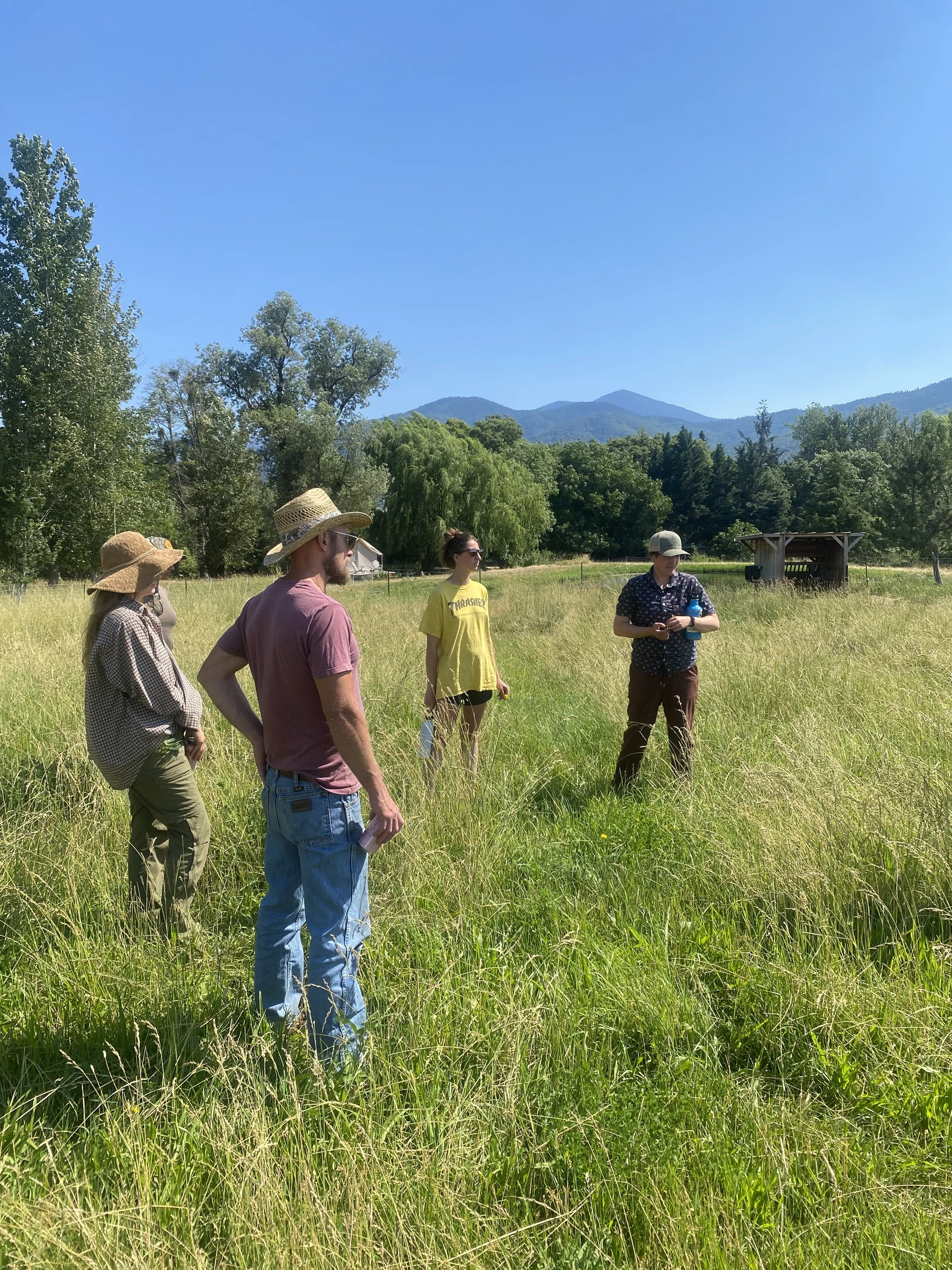 Volunteers stand in a field