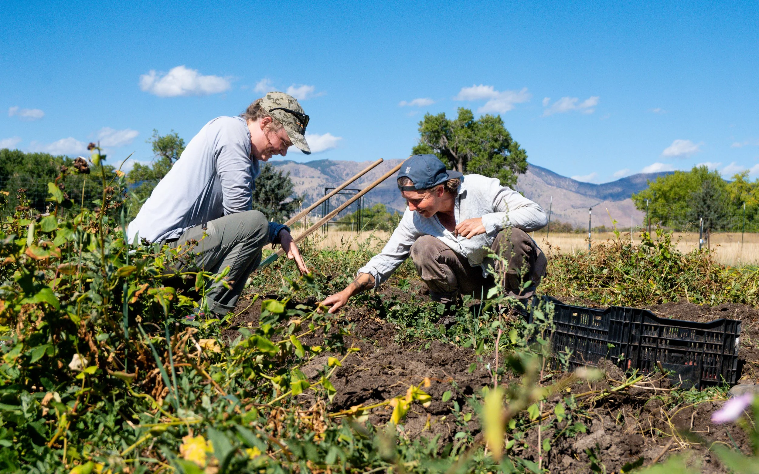 Wild Wellspring Farm