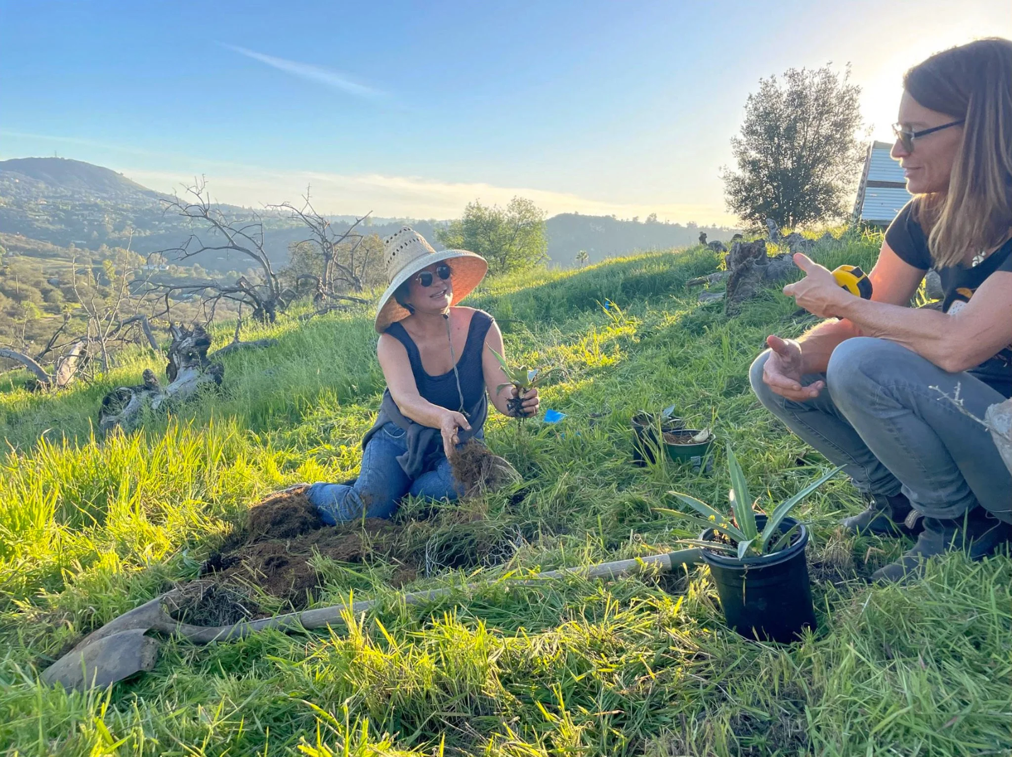 The Agave Lab