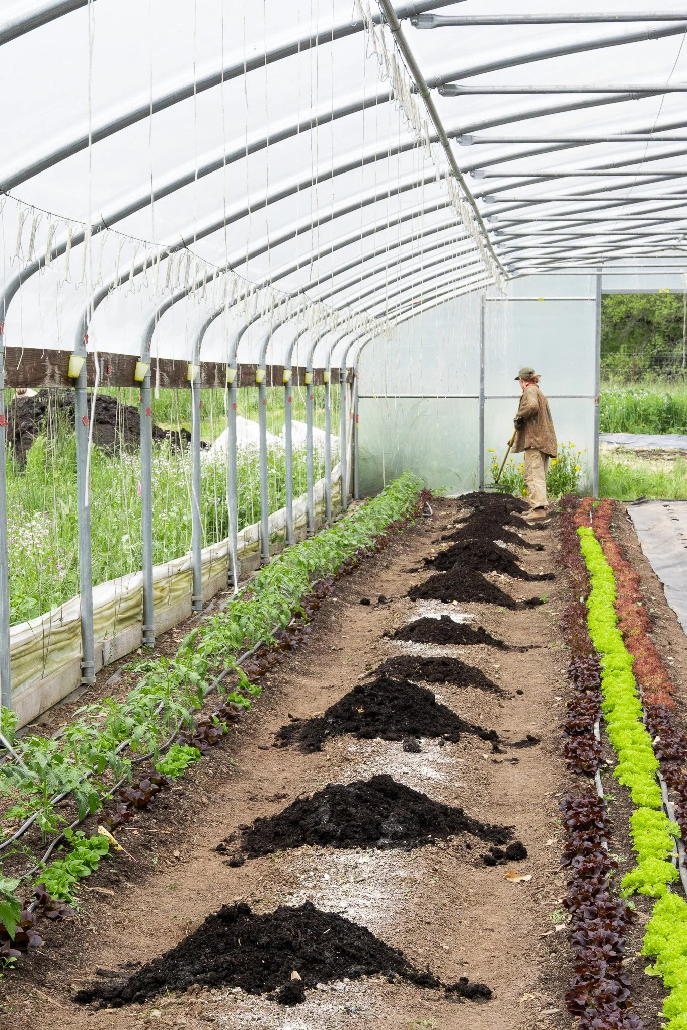 Aleta hoes a row of freshly planted crops