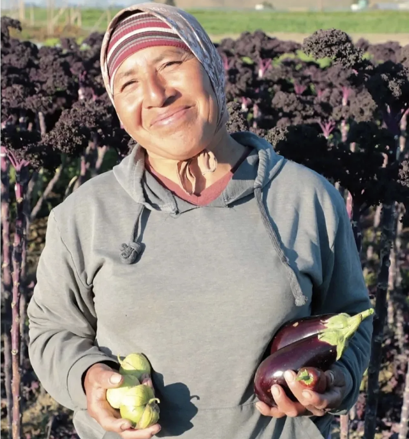 Maria Reyes hold eggplants and tomatillos in a field of purple kale. She is smiling and wearing a headscarf.