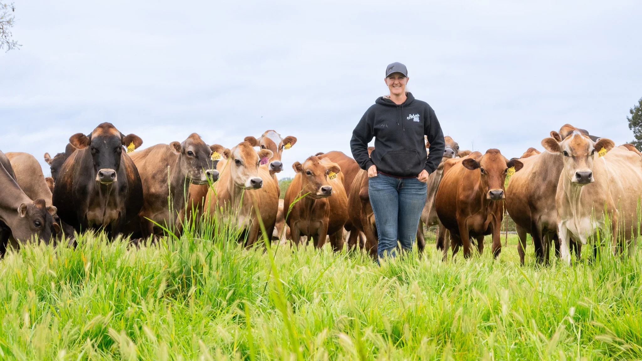 A farmer stands with her herd of cows at Beretta Family Dairy
