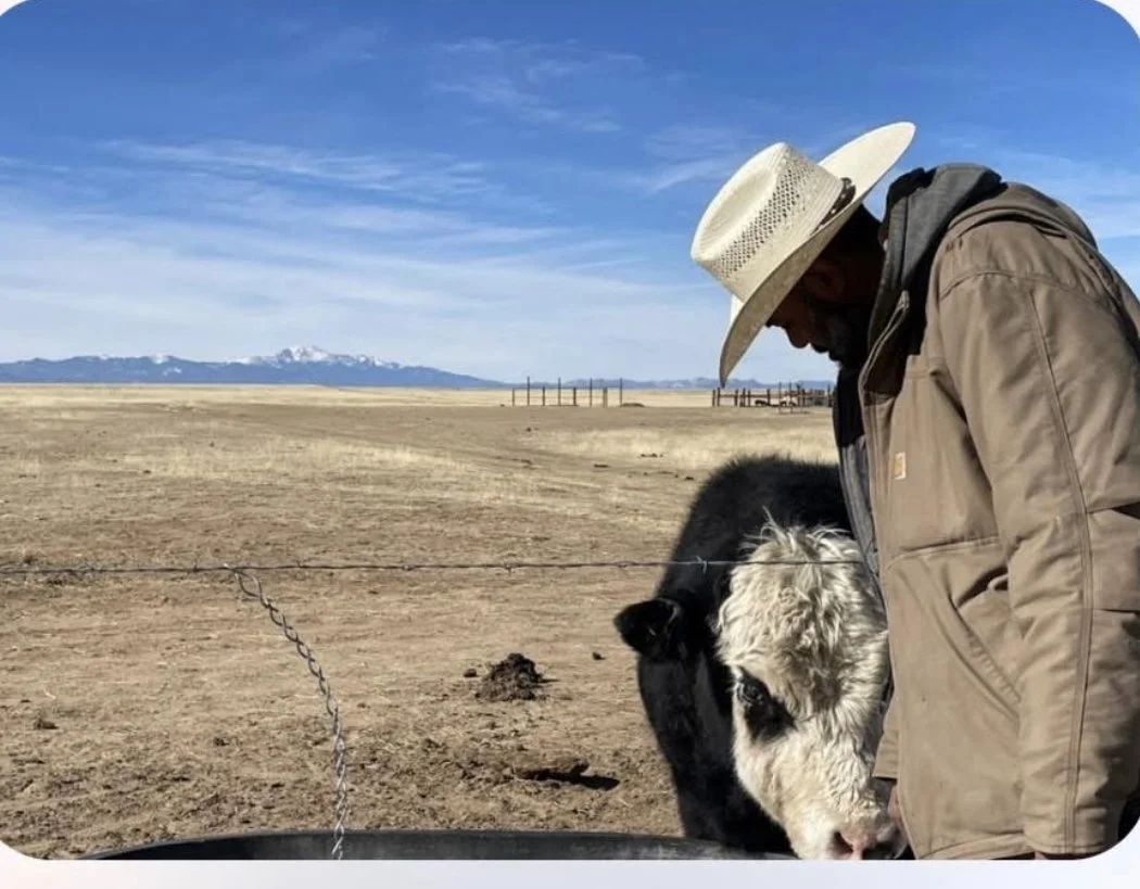 A farmer pets a cow