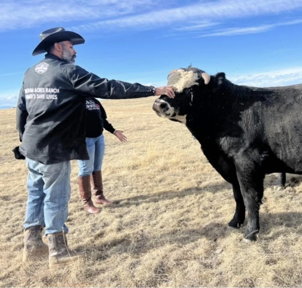 A farmer pets a bull