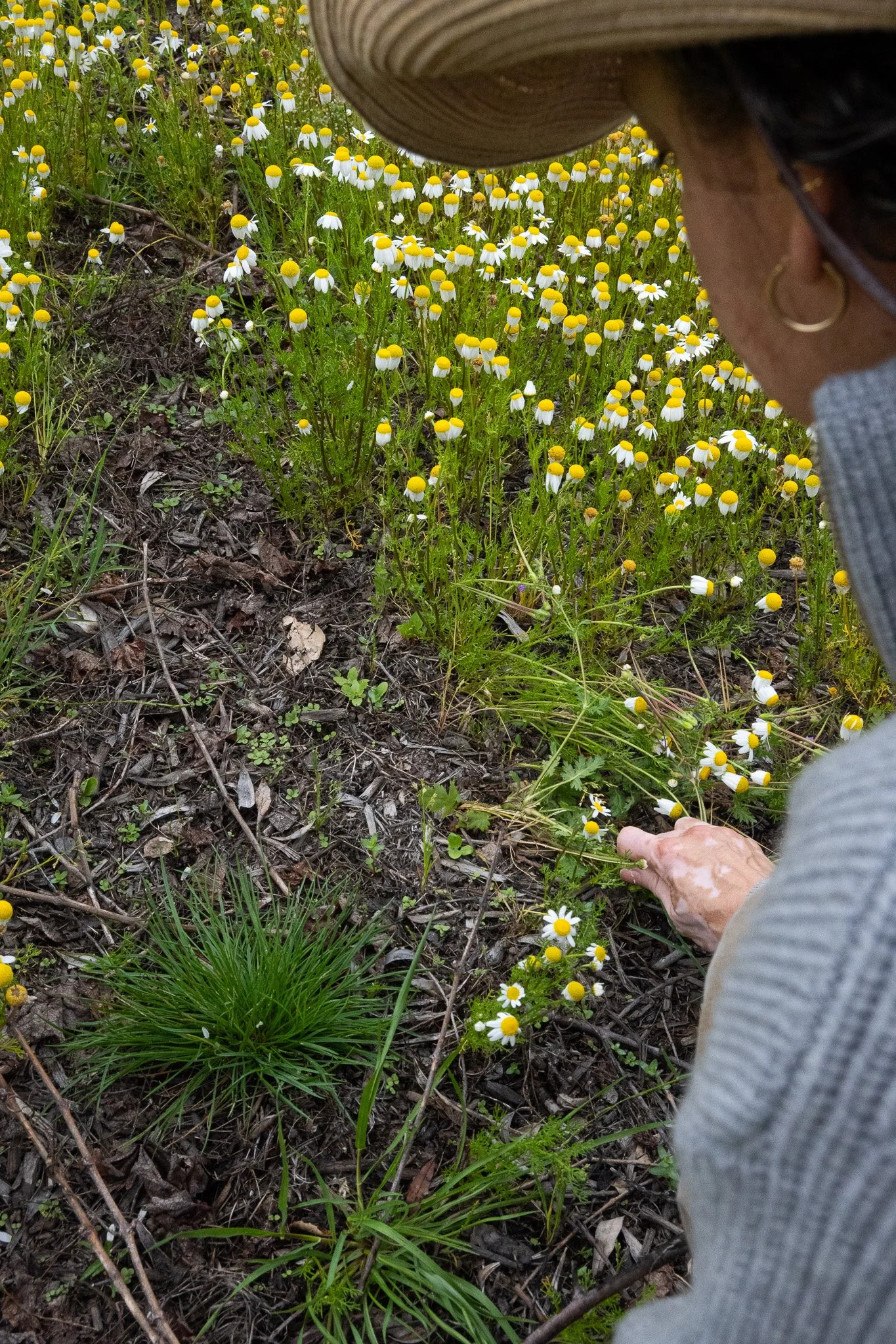 Thais Williams examines her soil in a field of flowers at Nineveh Vineyards