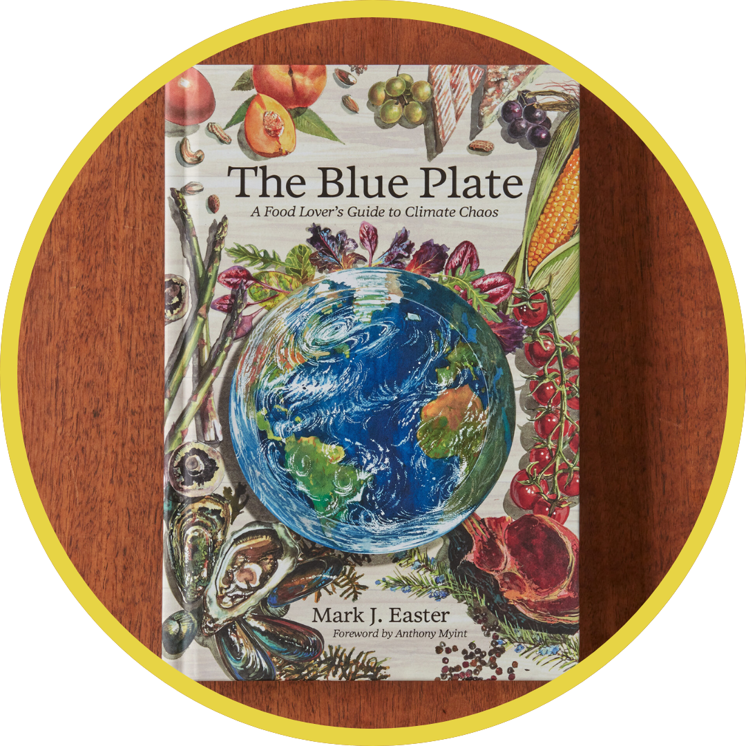 Shop The Blue Plate
