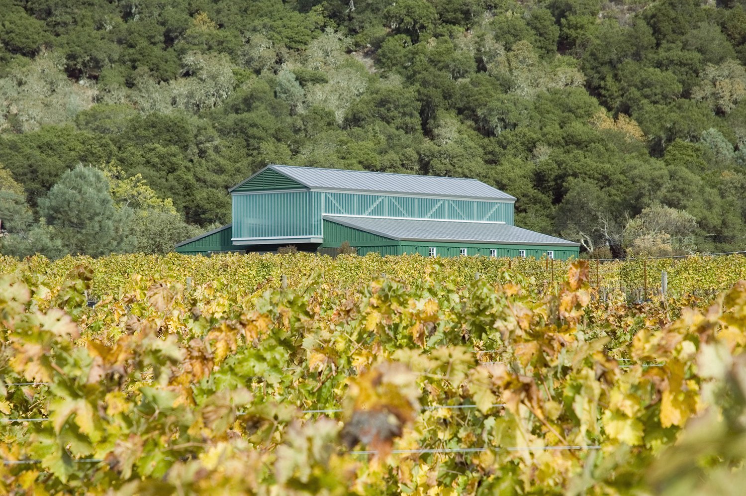 Barn+Fall+day+1500.jpeg