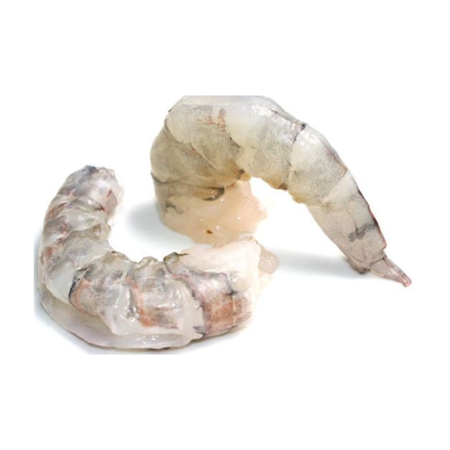 SCAMPI BT 13/15 EZP RC - 800 GR - EPIC