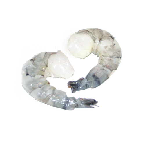 SCAMPI BT 8/12 EZP RC - 800 GR - EPIC