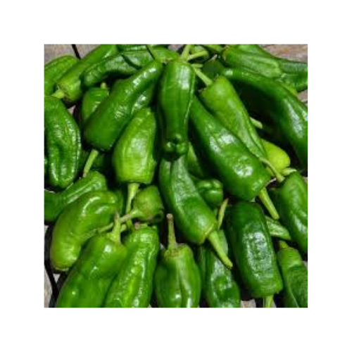 PIMIENTOS DE PADRÓN - 2 KG (VERS)