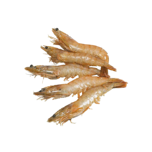 GAMBA 20–30 ST AFRICAN WHITES - BANARLY - EPIC