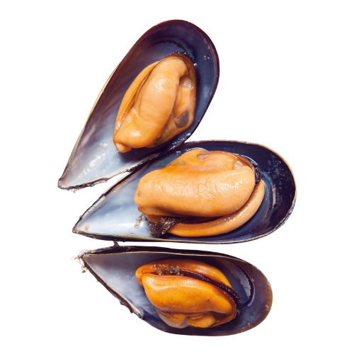 MOSSELEN TIGRES - 1 KG - BATEAMAR