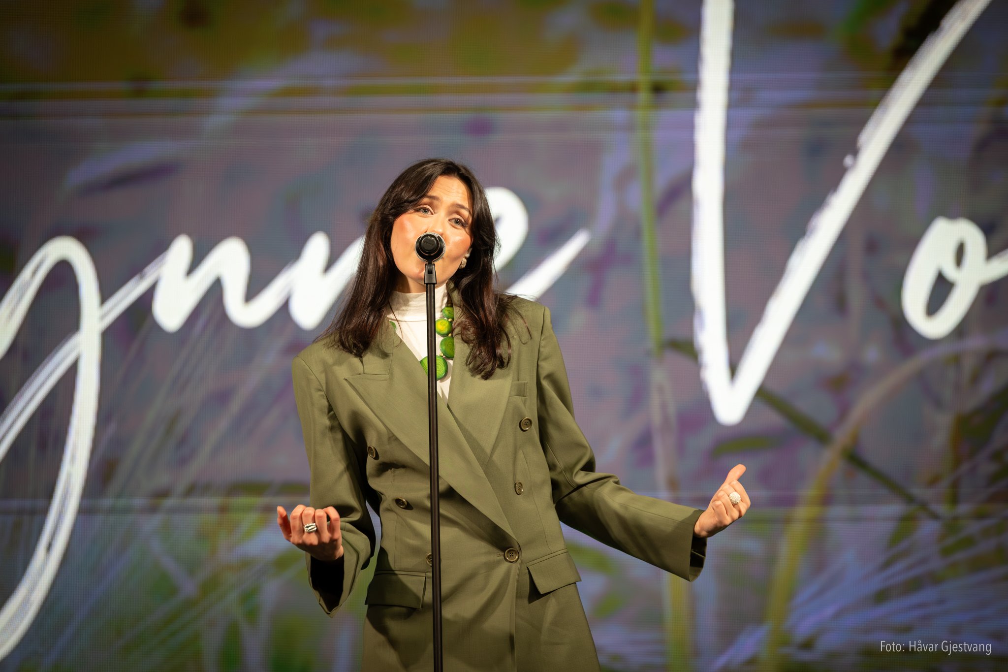 Konsert_web_Foto_Håvar_Gjestvang-13.jpg