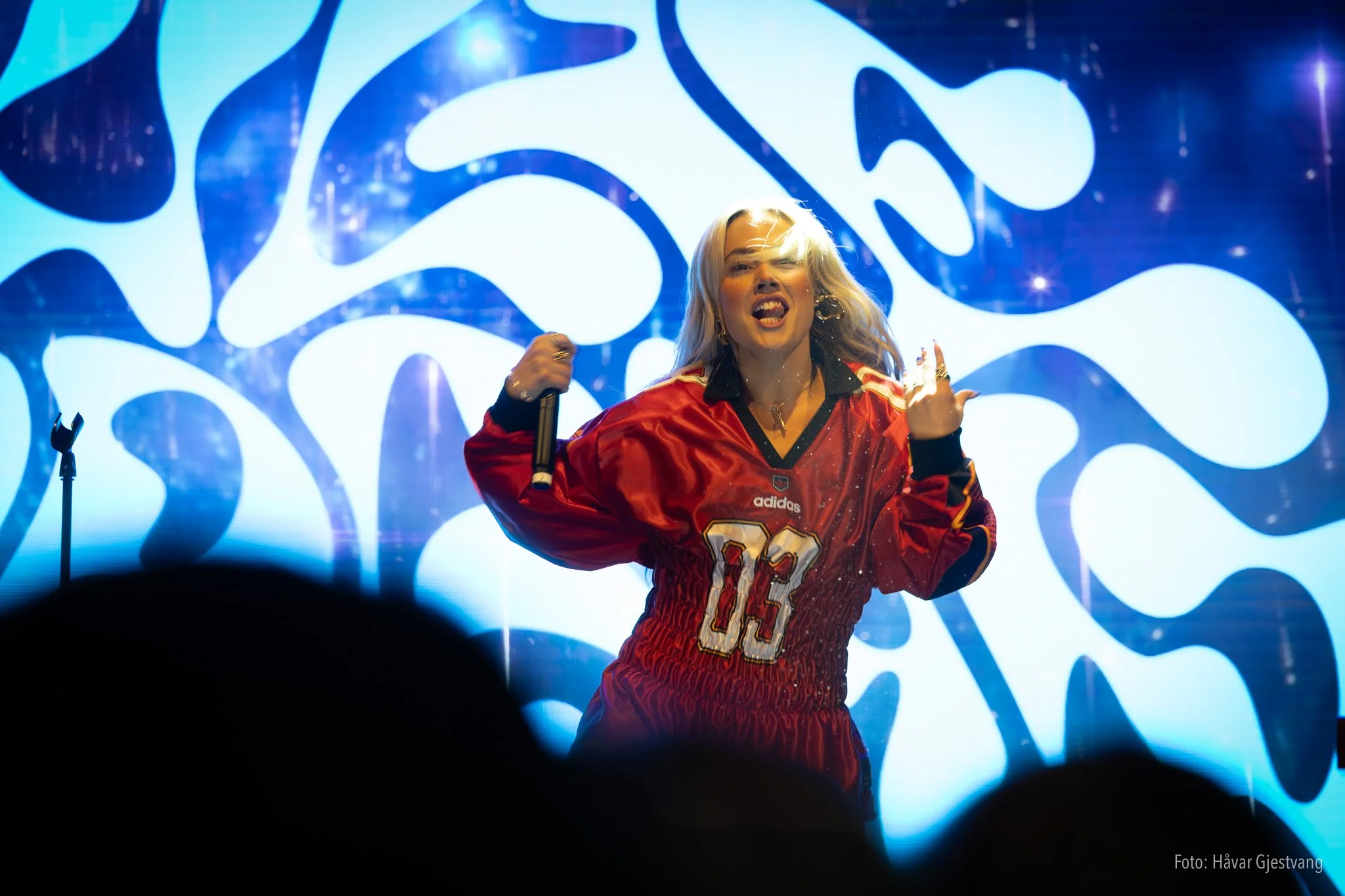 Konsert_web_Foto_Håvar_Gjestvang-20.jpg
