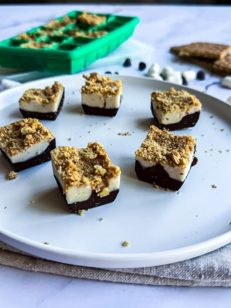 side view of s'mores protein bites on a plate